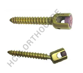 Spinal Implants